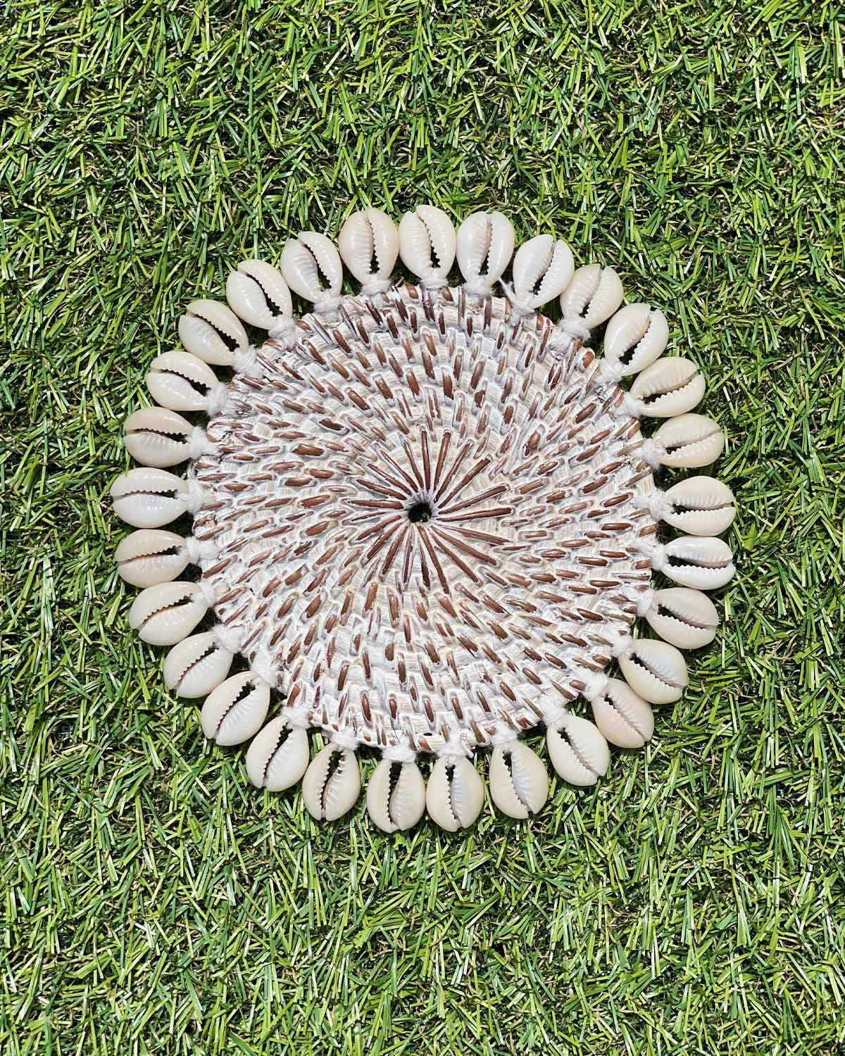 Shell Coasters (Set of 2)