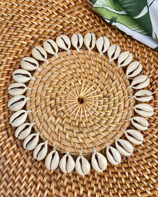Shell Coasters (Set of 2)